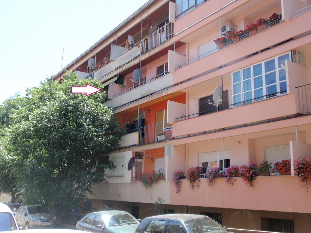 Apartment Bizjak PUY Exterior foto